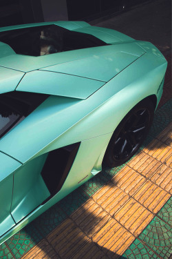 classyhustler:  Turqoise Aventador | photographer