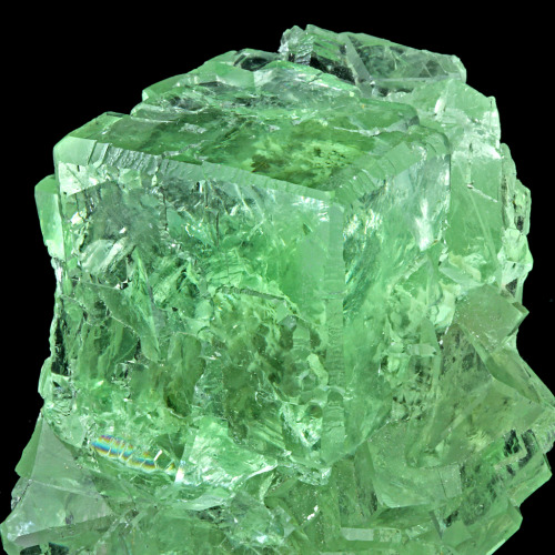 mineralists:  FluoriteSeems to have some inclusions?  