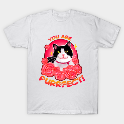 Just a cute comforting cat telling you the truth about confidence, purrfection! Want it on a tee? On
