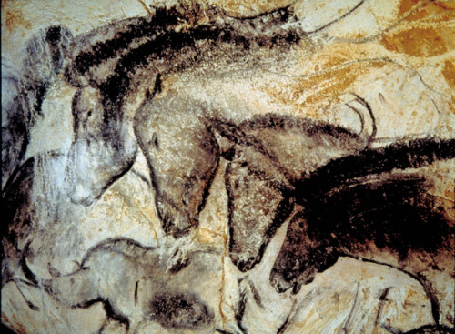 Horses from Chauvet cave, France