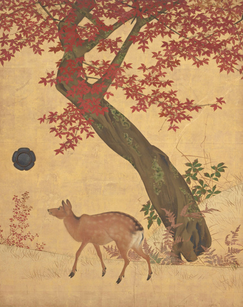 japaneseaesthetics: Main detail, “Deer and Maples”.  Artist Mori Tetsuzan, about 1820’s, Japan..  Fe