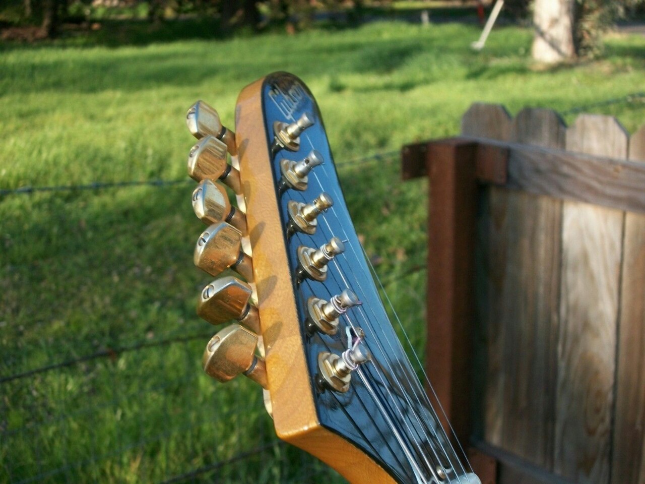 guitarlust:  1983 Gibson Korina Explorer