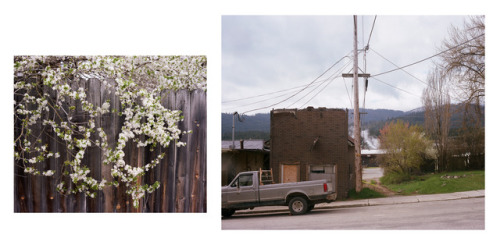 Spring in Priest River, ID II2017