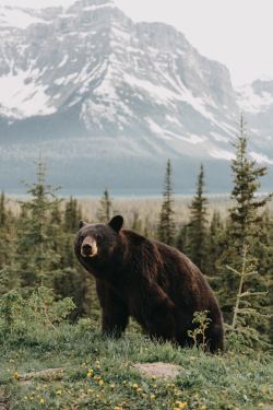 Reddirtroadpromotions:  Expressions-Of-Nature:by Levi Bare We’ve Got A Big Boy