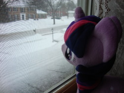 slice-of-life-twilight:  Dee: It’s snowing again. Surprise, surprise. Twilight: But today is the first day of March. I’ve been studying Earth’s weather patterns, and isn’t March the month when Spring starts? Dee: Yes, but technically it doesn’t