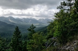 woodsong:on the trail to big slide mountain