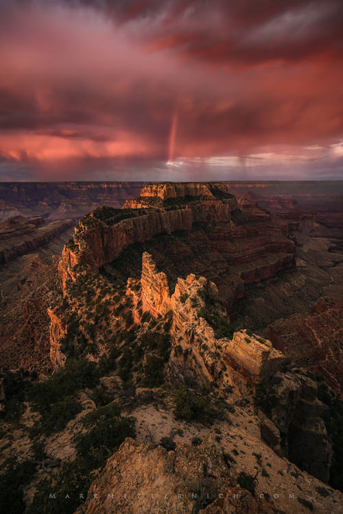 throughwinterfields - Mark Metternich