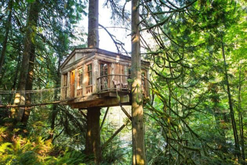 maryjani:  wild-nirvana:  ॐ My Spiritual World☽  Okay who’s gonna live in one of these tree houses with me! Haha;)