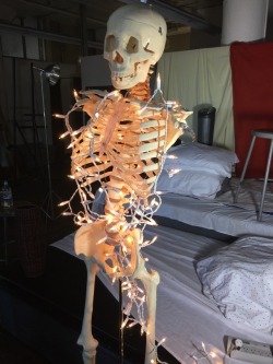 Behold, The Christmas Skeleton!