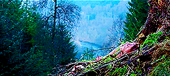 thenarddog:The Descent scenery porn