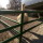 nahoney22:stoat-party:Season 3 episode 1: Phee beats the crap out of Cid for 30 minutesCan she girlboss it and kill her instead?  Yes. Please let Phee beat up Cid. She just lost her “Brown Eyes” boo. 