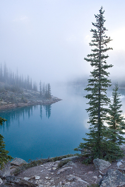 beethovensteaparty:  Banff National Park - Moraign Lake Sunrise by softclay on Flickr.