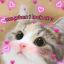 kimitonatsusei-blog