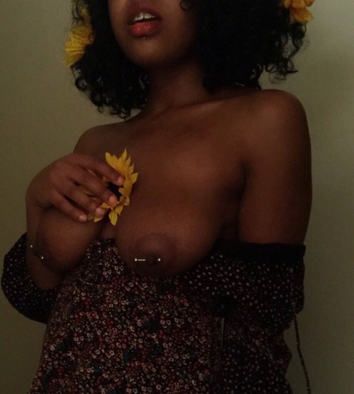 littleshayrose:little sunflower