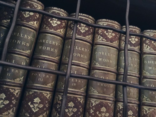 ablogwithaview: Nineteenth-Century Poets in the Castle Howard Library