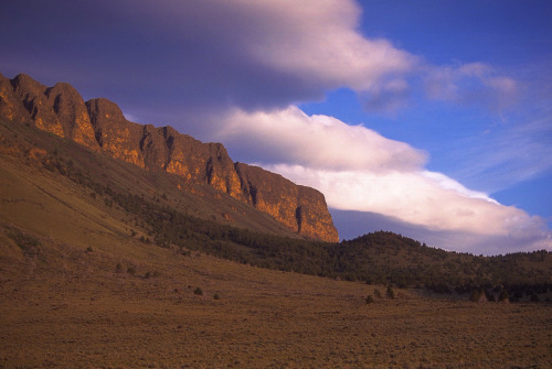 Fault scarp on the Abert RimA fault scarp is the exposed plane of a fault that has moved up in respe