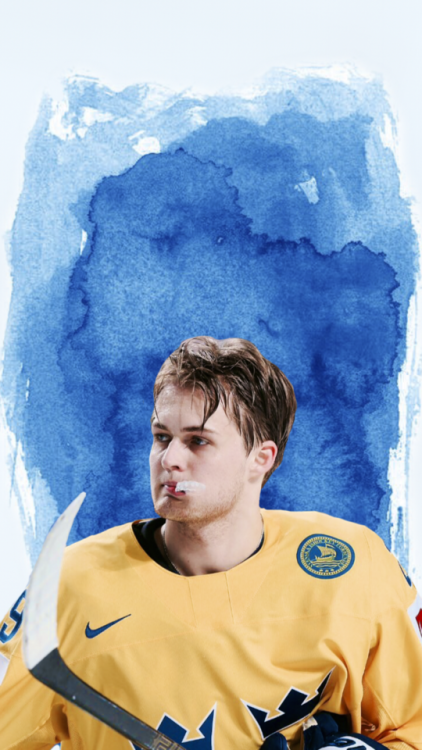 William Nylander /requested by @all-starnhl/