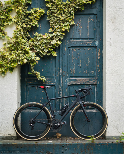 velophoto:  ‘The Green Door’ by Torsten Frank