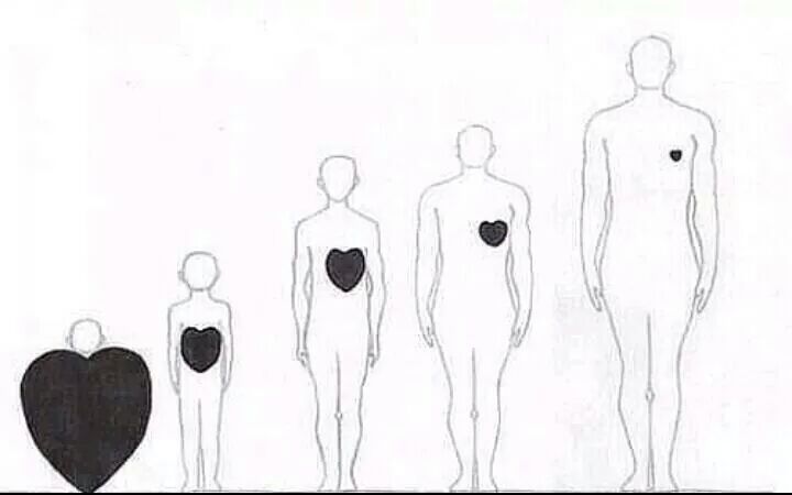 Das schlimmste an"Happy End" ist das "End"♥'