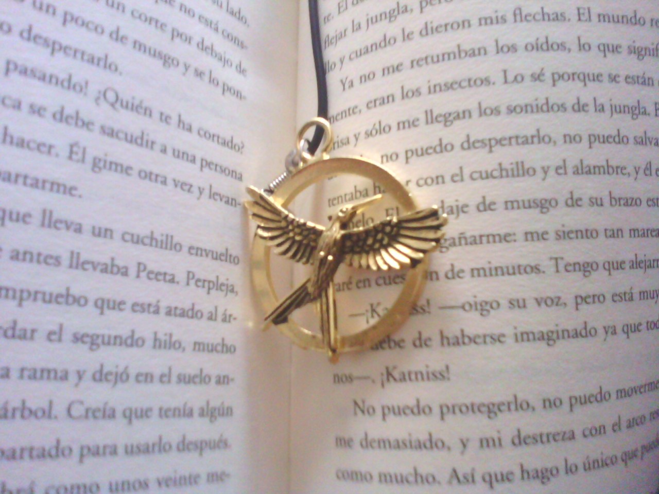 i-need-sleep-forever:  Mi sinsajo &lt;3 al fin lo compré.
