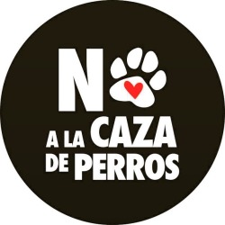 kiumitz:NO A LA CAZA DE PERROS EN CHILE!!  Repudiable: Presidenta de Chile Michelle Bachelet aprueba normativa para asesinar a miles de perros sin hogar mediante la caza  Consternación y repudio ha causado en miles de animalistas la aprobación de una