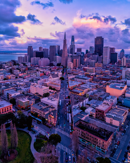 about-usa:San Francisco - California - USA (by David Yu) 