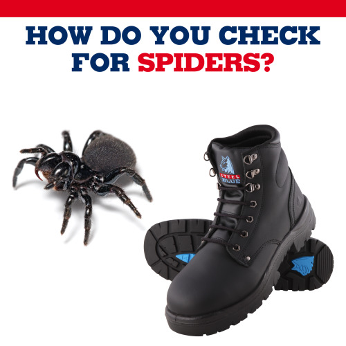 Have you left your boots outside overnight? What do you do to check for spiders?