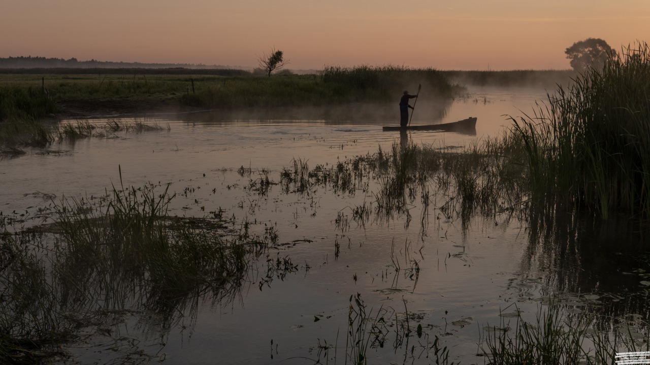 Biebrza river - Poland