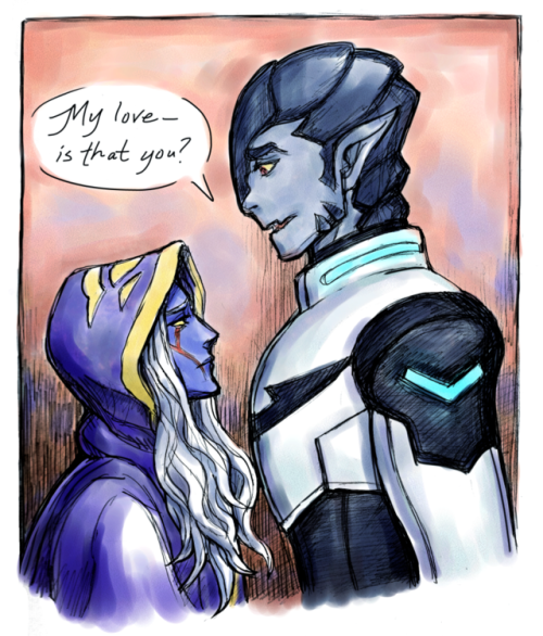 For @haggarweek Day 1: 10,000 Year Gap. Paladin Zarkon meets High Priestess Haggar due to Time Shena