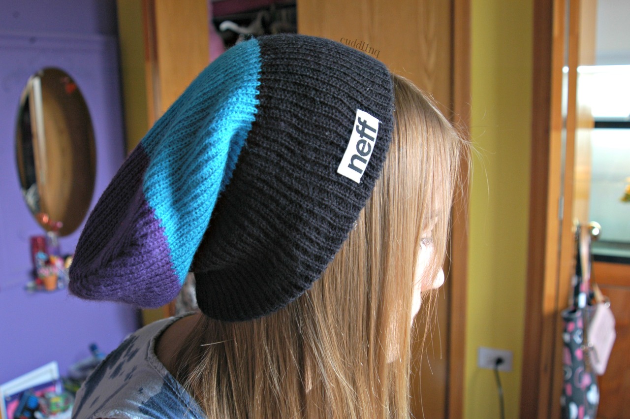 cuddl1nq:  beanie :3 