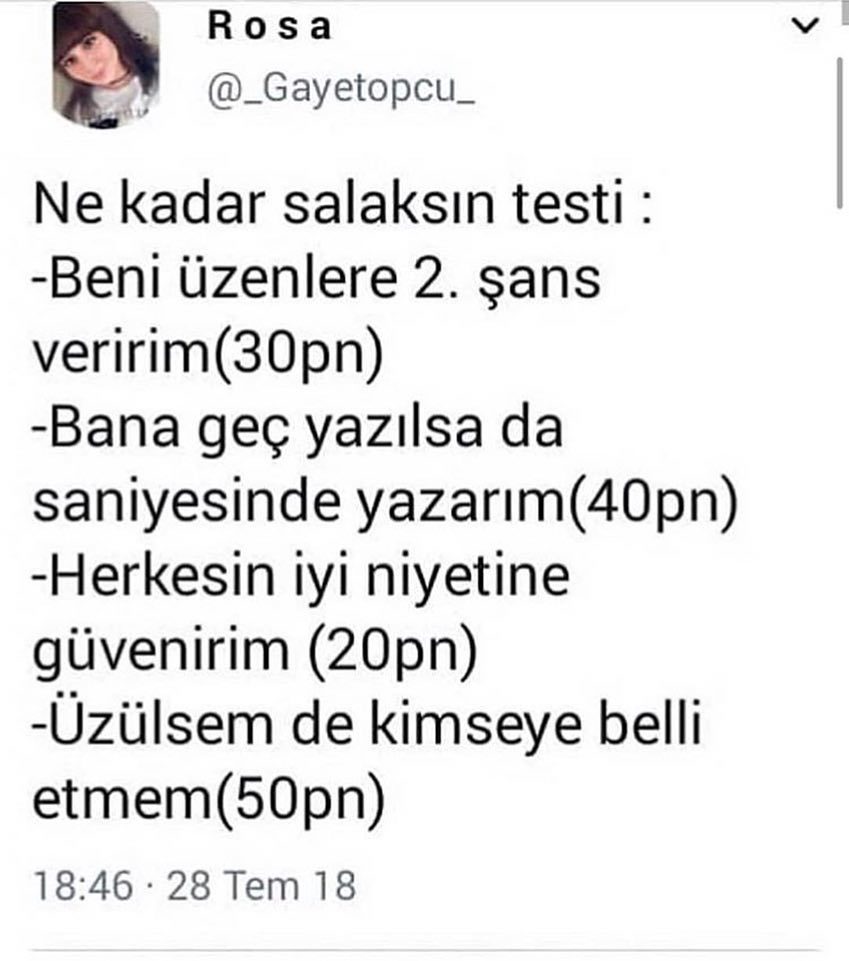 Ne kadar salaksın...