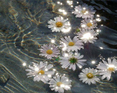 gsfrenchshabbylife:  Not Only Photos Set7 on We Heart It. http://weheartit.com/entry/59114513/via/glenda_a_dolan
