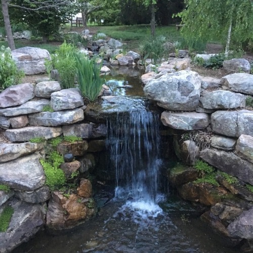 boykeats:went for an evening walk through the local horticultural gardens! it was so peaceful