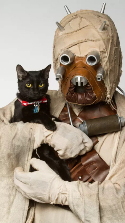 oldschoolsciencefiction:These Tusken Raiders have cats. That is all.