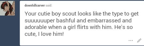 COLT SCOUTS