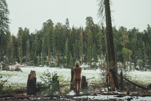 “Kozy, Winter.”Log Meadow, Sequoia national Park, CA. April 2015