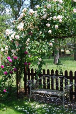 The Cottage & The Meadow