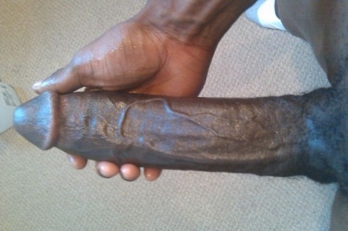 black-m4m:  MMMMMMMMMM http://www.Black-M4M.com 100% FREE PICS & VIDEOS OF BIG DICK NIGGAZ WITH CUTE FACES. 
