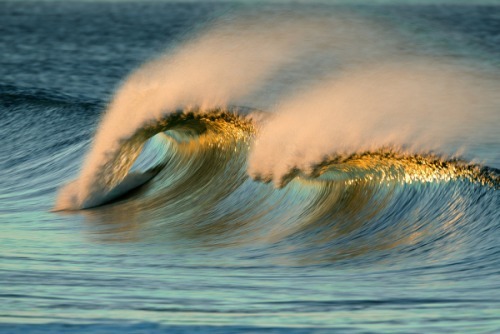 asylum-art:  David Orias’s California Waves Facebook | 500px Golden waves and other