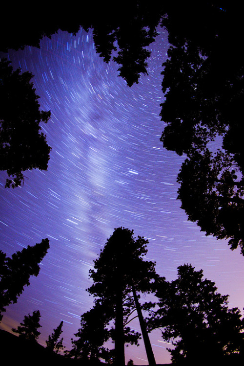 brutalgeneration:  By Nick☮Reppert
