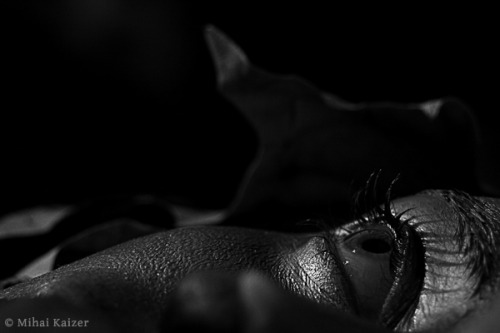 The Siren of the Woods by Mihai Kaizer  Mihai, based in Bucharest, Romania, explores various st