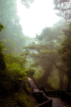 plasmatics-life:  Lost in Mist ~ By -Kent-