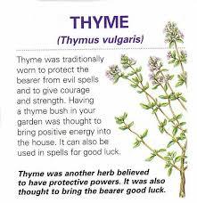 The Magick of Thyme