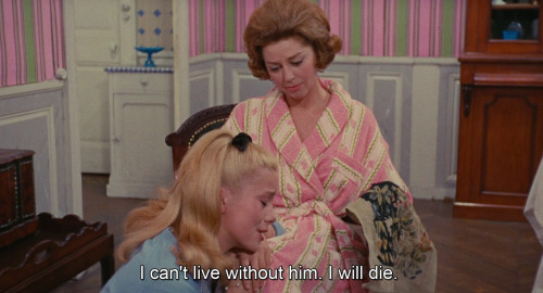 timotaychalamet:  Les Parapluies de Cherbourg (1964) dir. Jacques Demy