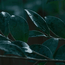 ~ We ♥ Rain ~
