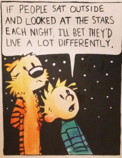 yourstruly-b:  Calvin and Hobbes was one of my favorite comic strips growing up. I also have the books!