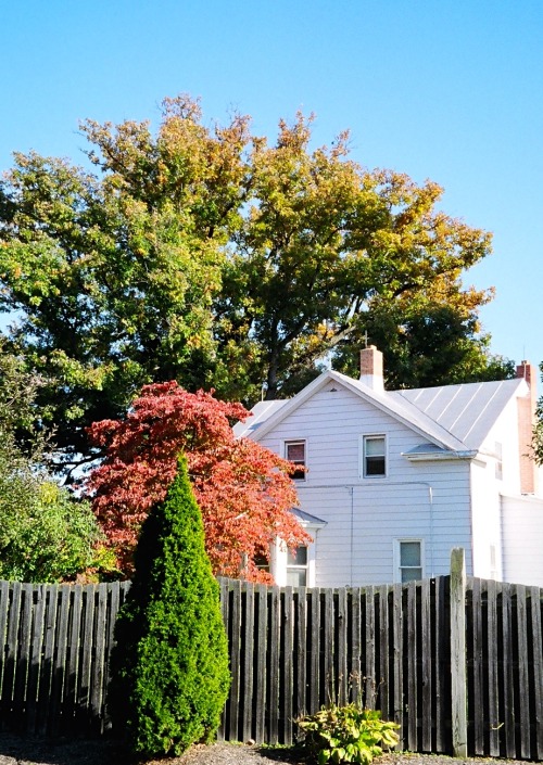 First Colors of Autumn, Burke, Fairfax County, ole Virginny, September 2005.The building is an old f