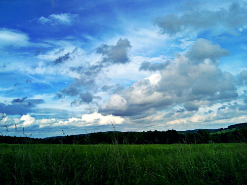 #HOMEThis is the view I have when going on a walk with my dog. It´s more beautiful when there 