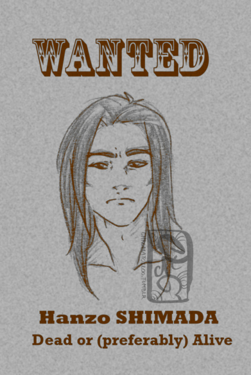 The little wanted posters featured on Lucid Dream chapter 8′s cover ʕ•ᴥ•❀ʔI also wanted to thank eve