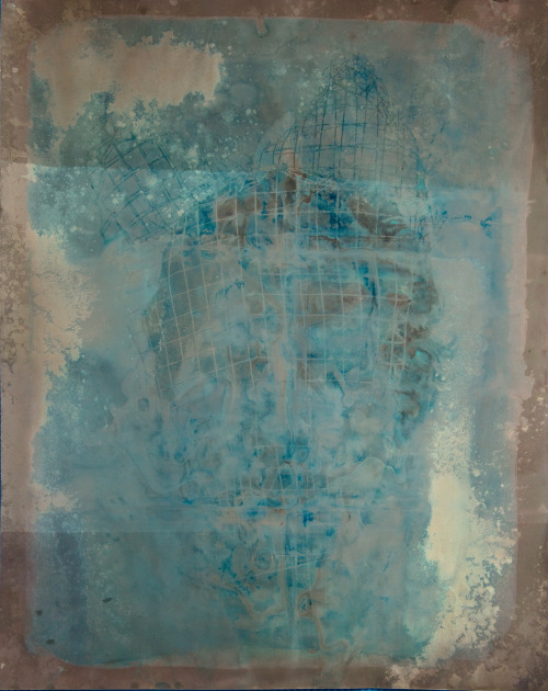Cyanotype on expired baryt paperwith salt vinegar and curry2020A2